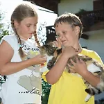 Seimehof Urlaub Auf Dem Bauernhof * Bernau am Chiemsee